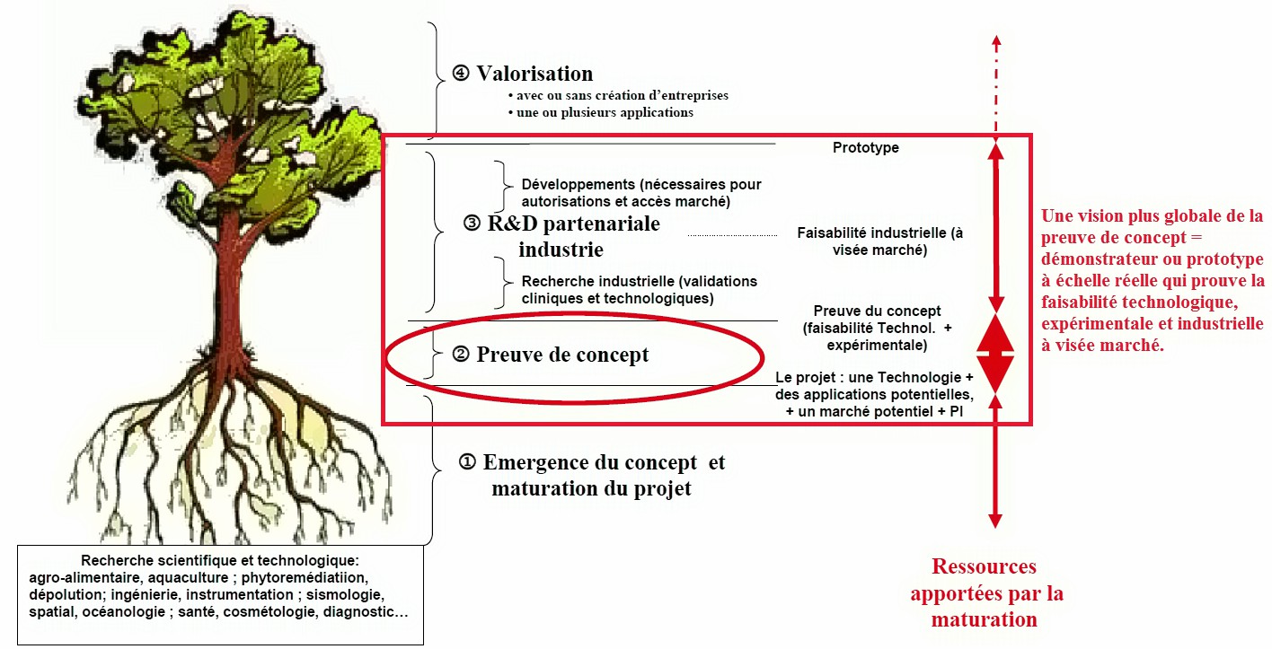 La preuve de concept (démonstrateur) dans le processus de valorisation et de transfert