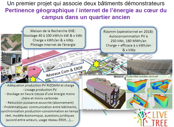 batiments-demonstrateurs-live-tree-vauban